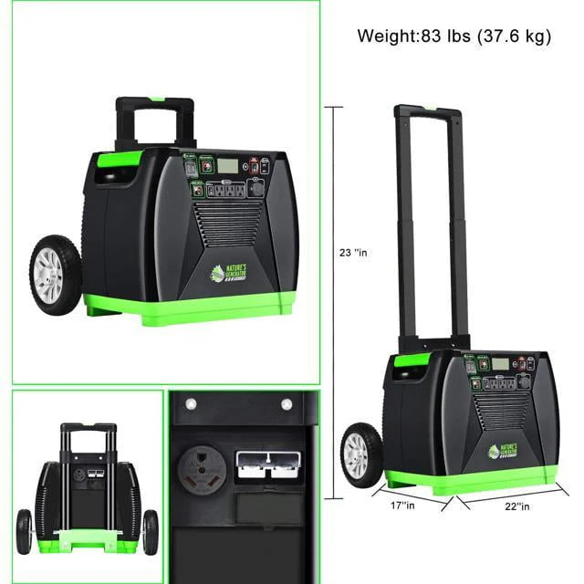 3600W Solar & Wind Powered Pure Sine Wave Off-Grid Generator with 2pcs 100W Solar Panel L483