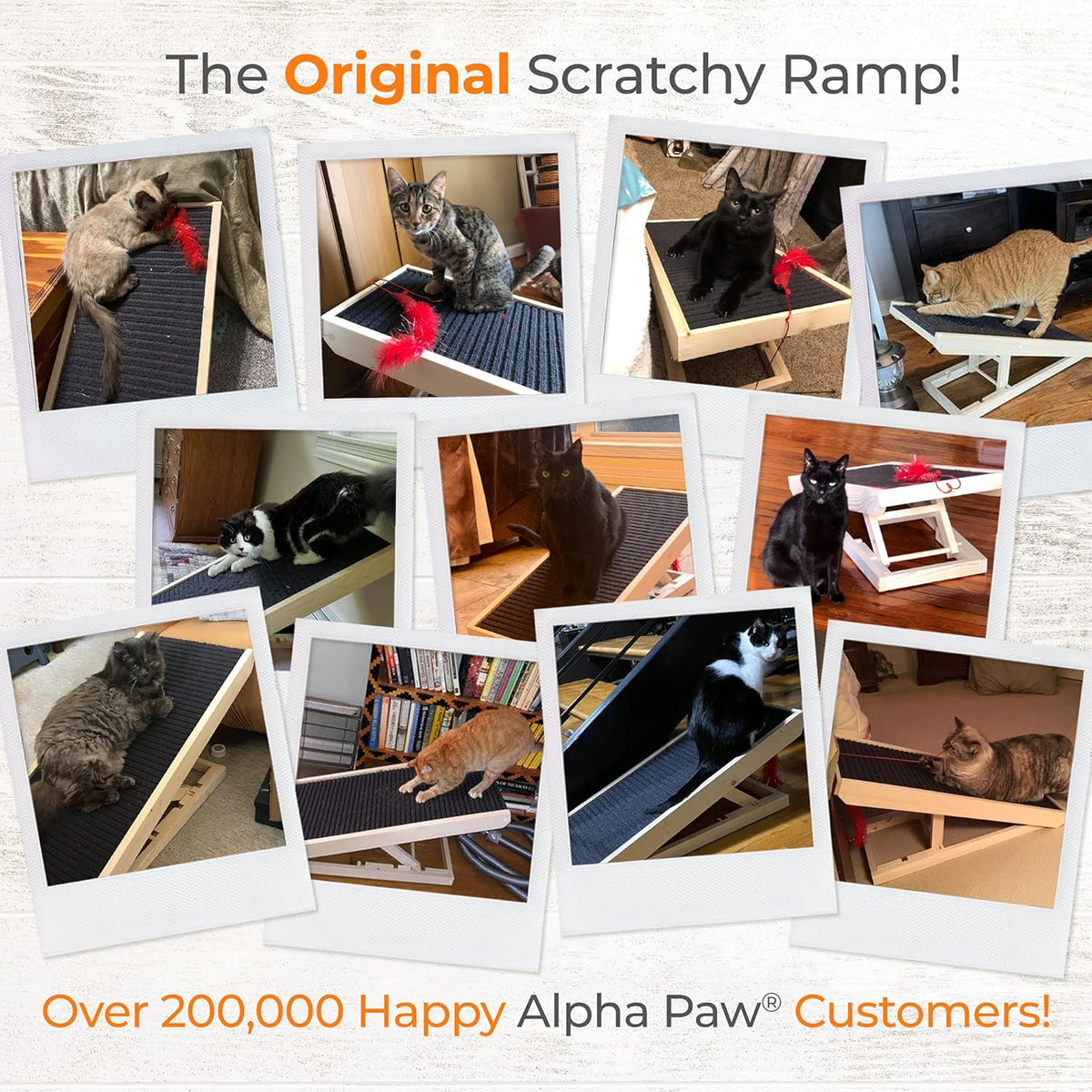 2-in-1 Cat Ramp & Cat Scratcher with Replaceable Carpet G859