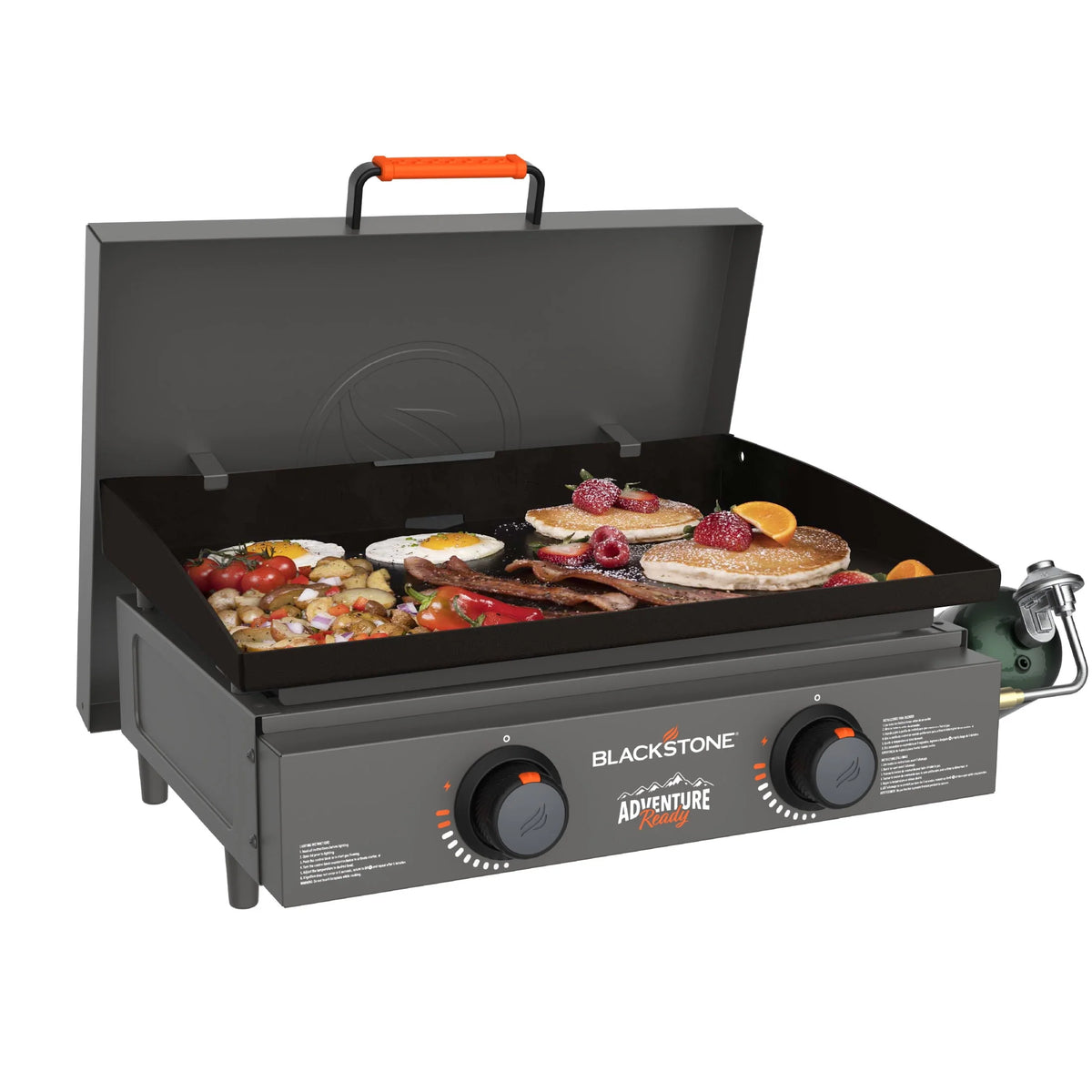 2-Burner 22 Propane Griddle with Hard Cover S396118