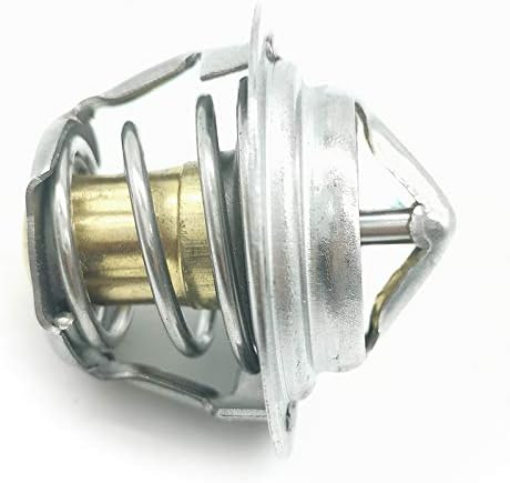Thermostat W969