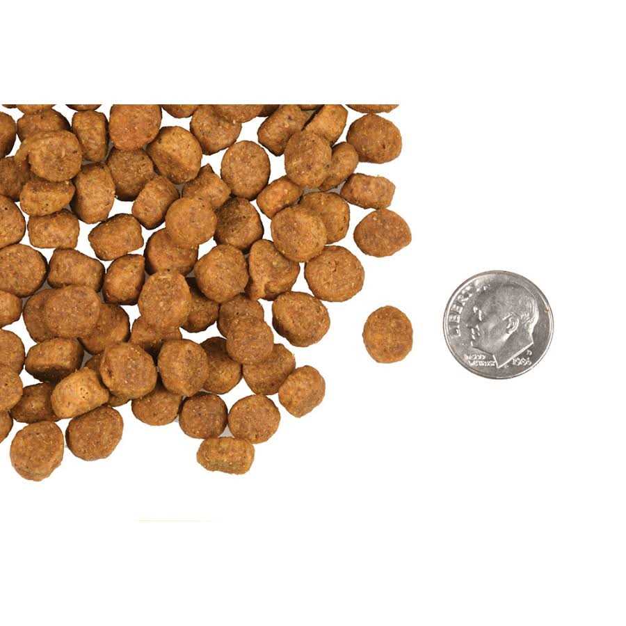 Large Breed Puppy Dry Dog Food M1521