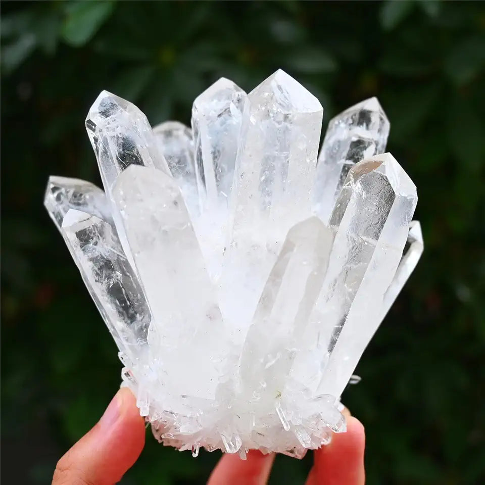 Clear White Rock Quartz Crystal Cluster Mineral Specimen (700~800g) R5762