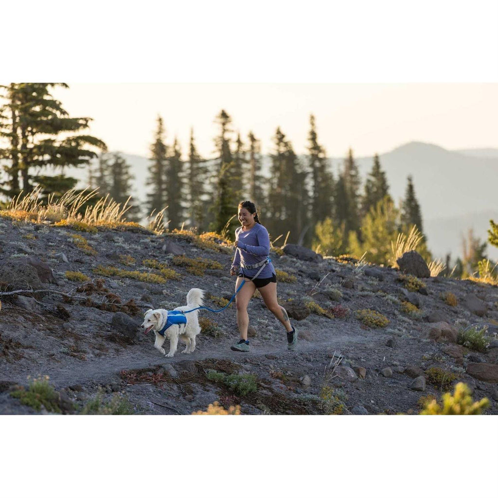 Trail Runner Belt D310