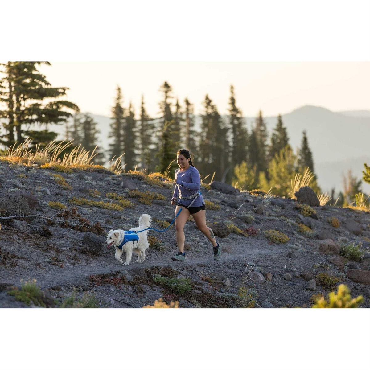 Trail Runner Belt D310