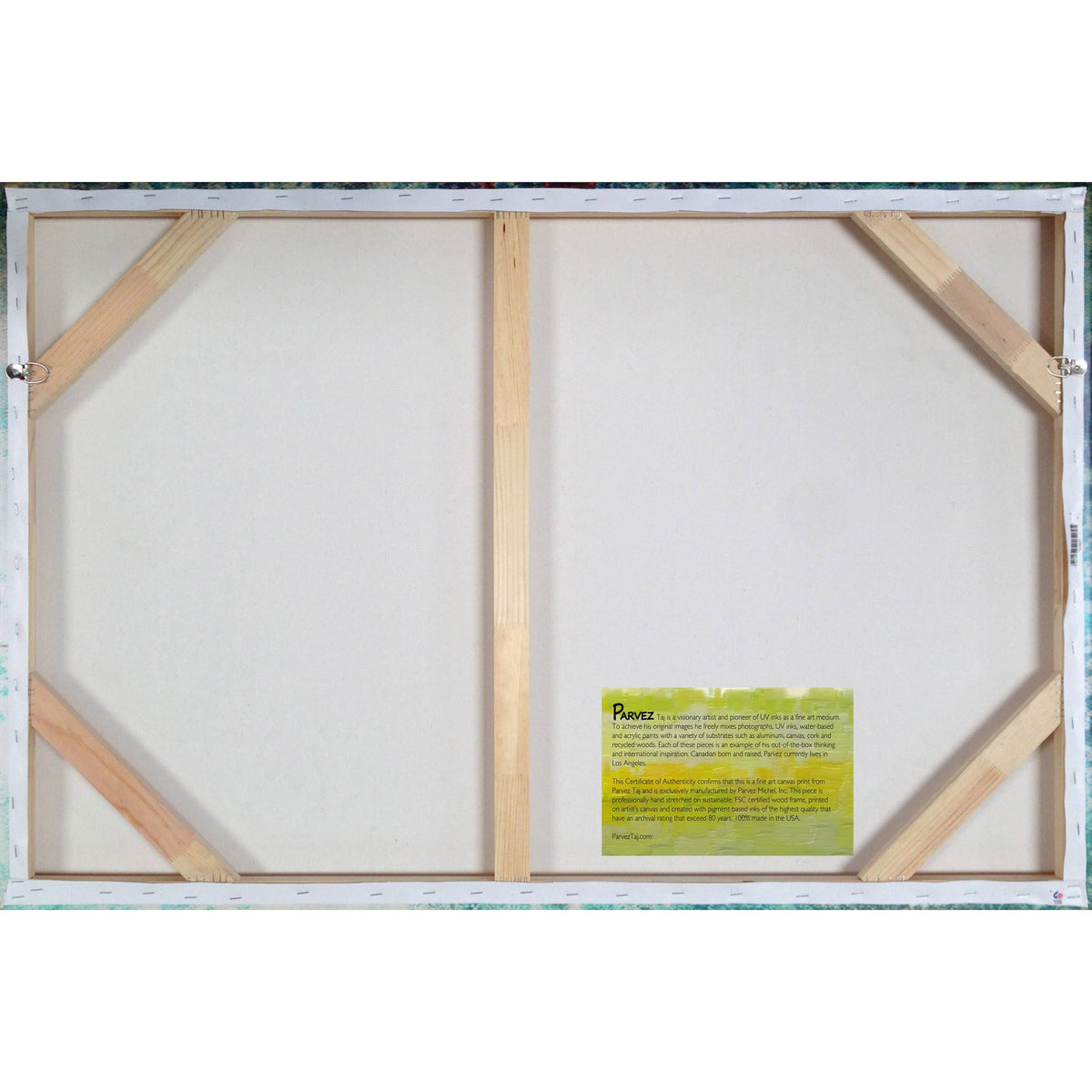 Handmade Canvas Art Z241372