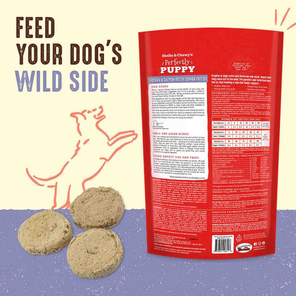 Freeze-Dried Raw Dog Food Salmon Patties R275565