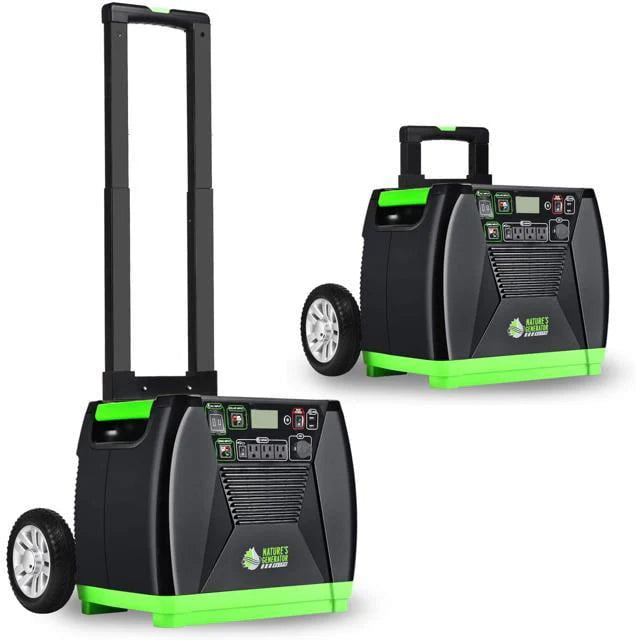 3600W Solar & Wind Powered Pure Sine Wave Off-Grid Generator with 2pcs 100W Solar Panel L483