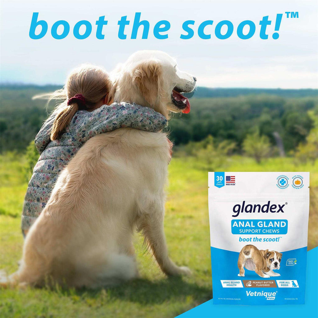 Anal Gland Soft Chews Supplement for Dogs E272