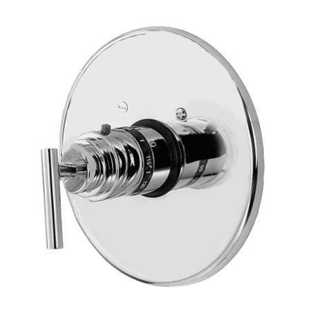 Thermostatic Trim Plate with Handle V816