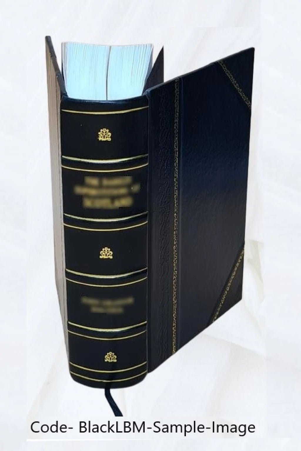 Leather Bound X66801