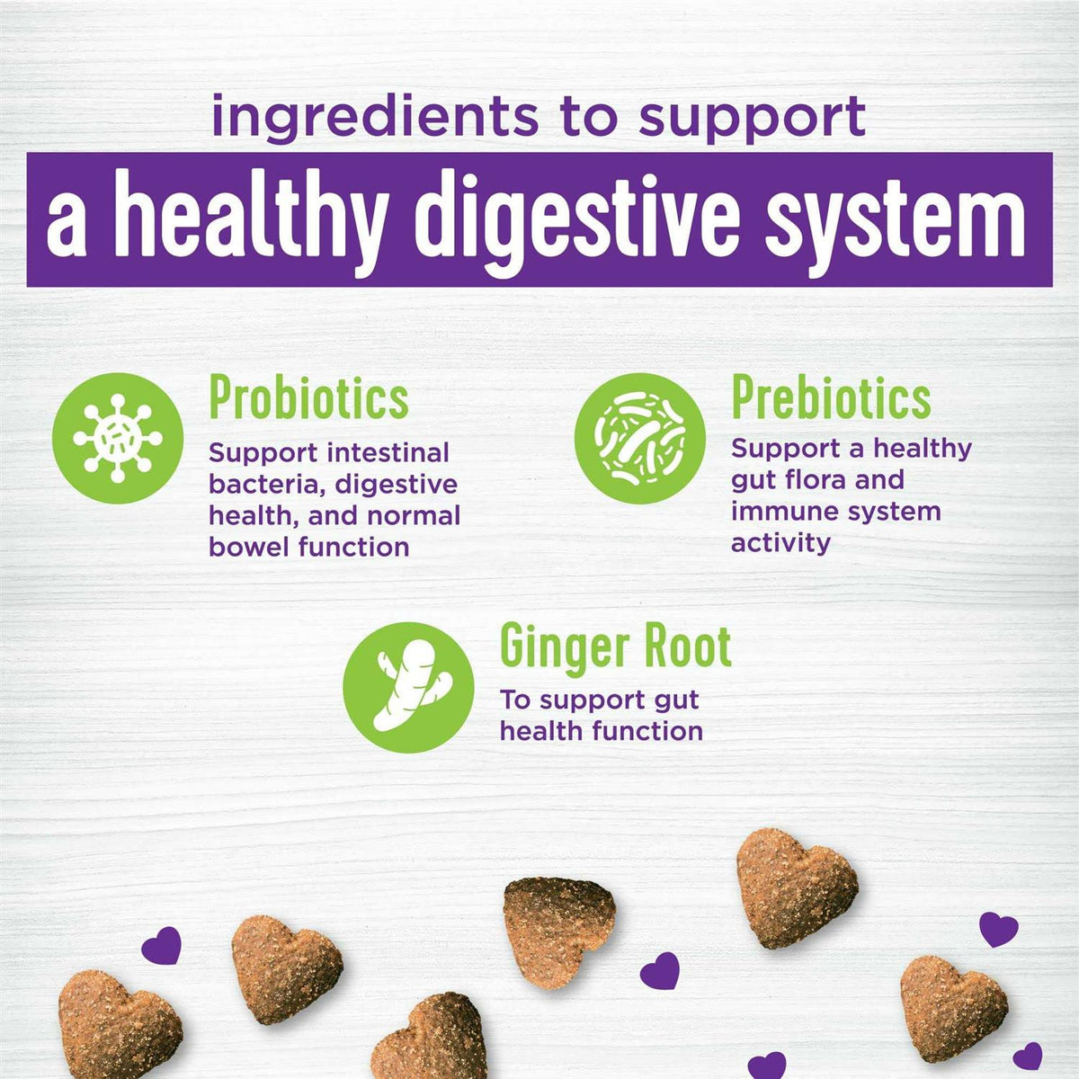Pumpkin Flavored Soft Chew Digestive Health Supplements for Dogs Z7507