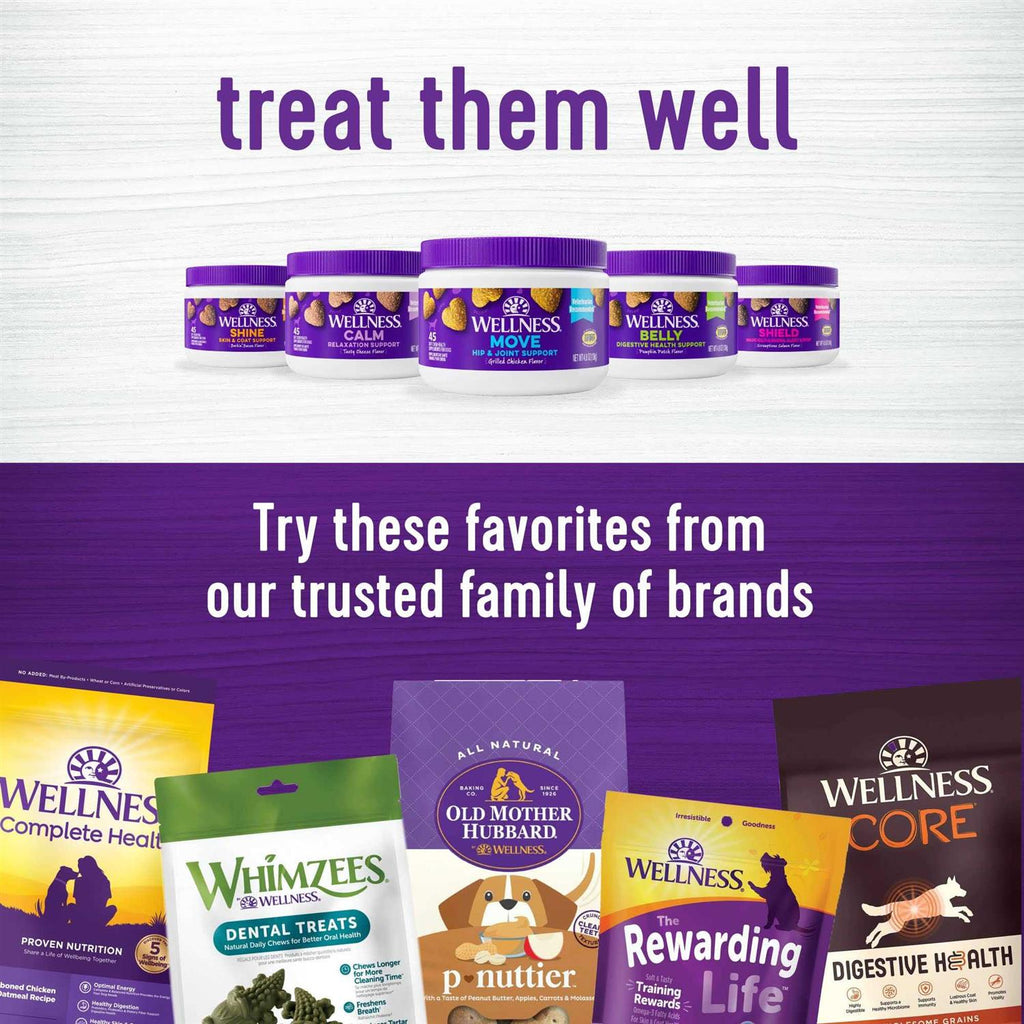 Pumpkin Flavored Soft Chew Digestive Health Supplements for Dogs Z7507