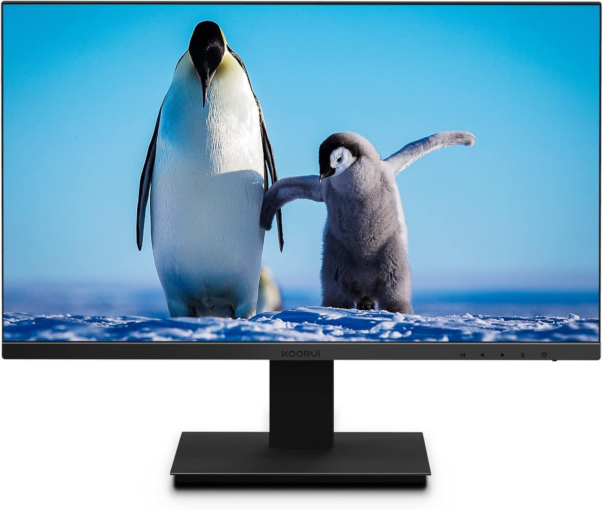 22 inch FHD 1080P 75hz VA LED Monitor A365