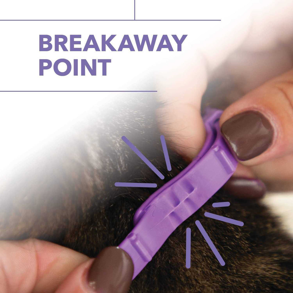 Flea & Tick Collar for Cats & Kittens W173