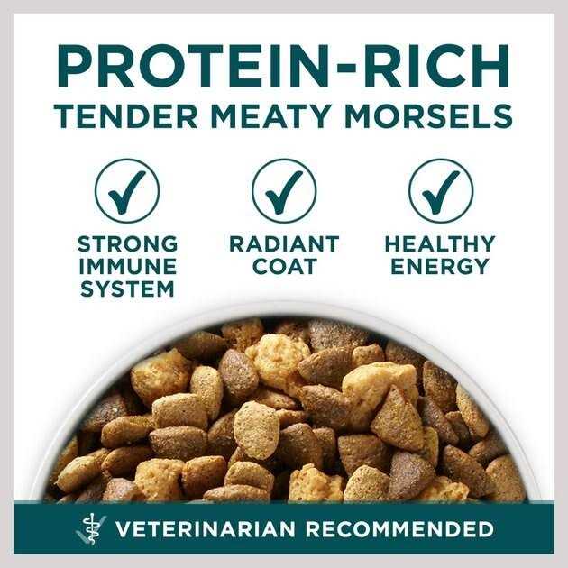 Large Breed Dry Puppy Food T598