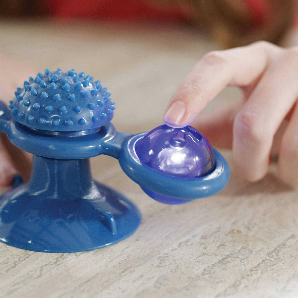 Spinner Toy & Grooming Brush U380743