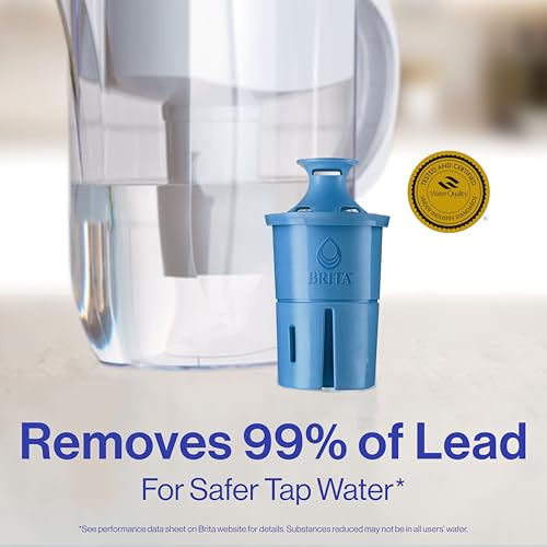 Water Filter Replacements for Pitchers and Dispensers, 2 Count P763