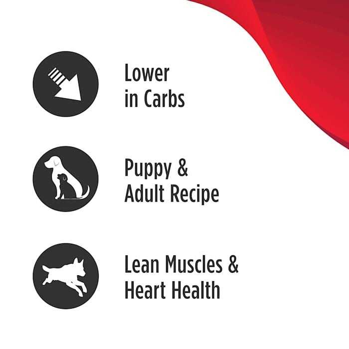 Turkey Small Breed Adult Dry Dog Food H544609