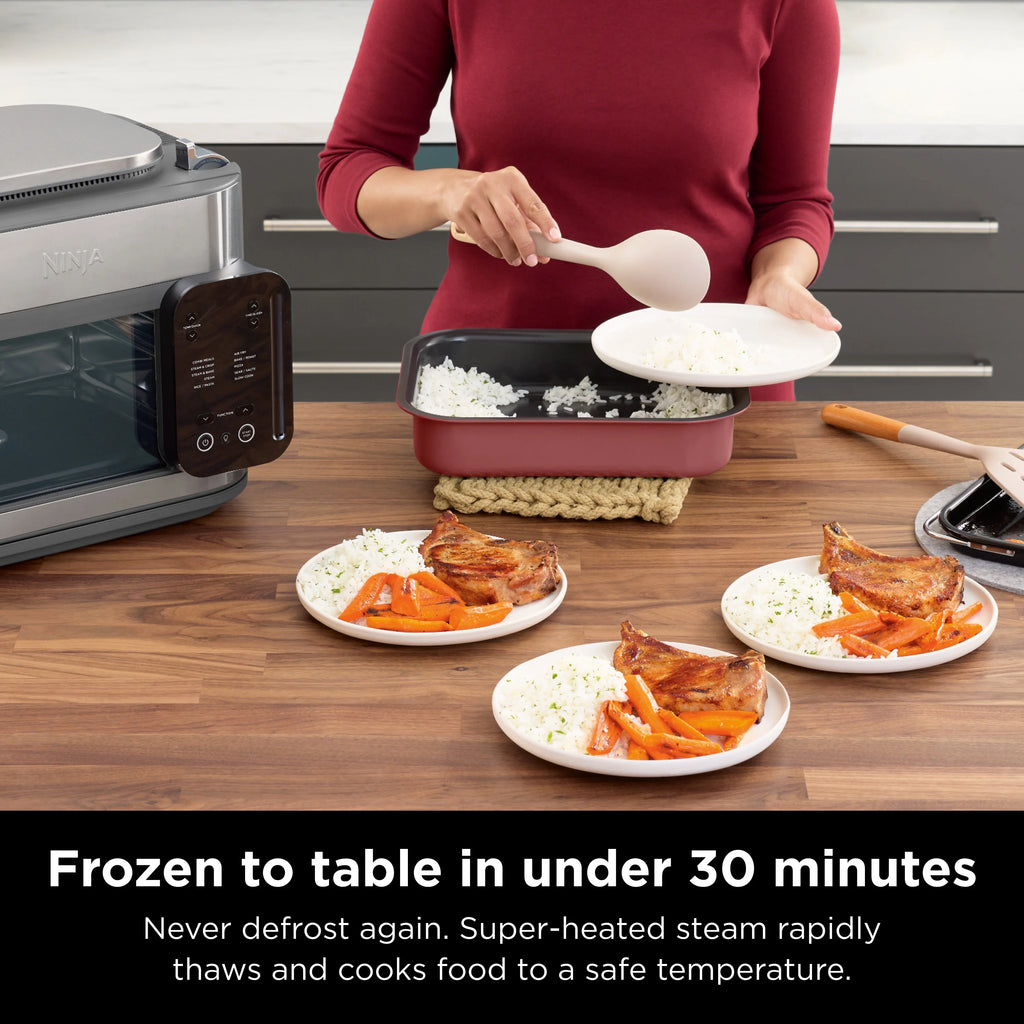 10-in-1 Stainless Steel Multicooker Oven Air Fryer J714