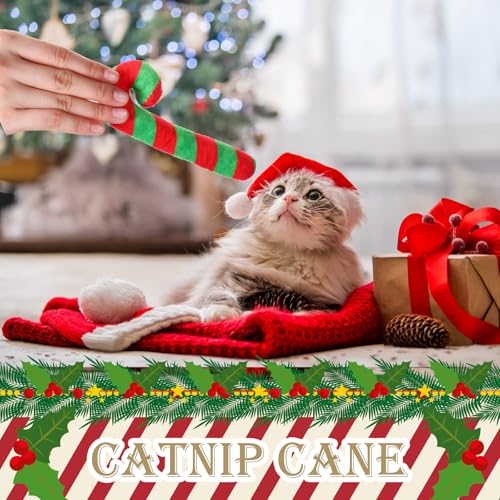 6 Pcs Catnip Cat Toys E39485