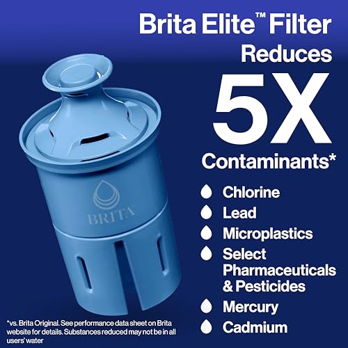Water Filter Replacements for Pitchers and Dispensers, 2 Count P763