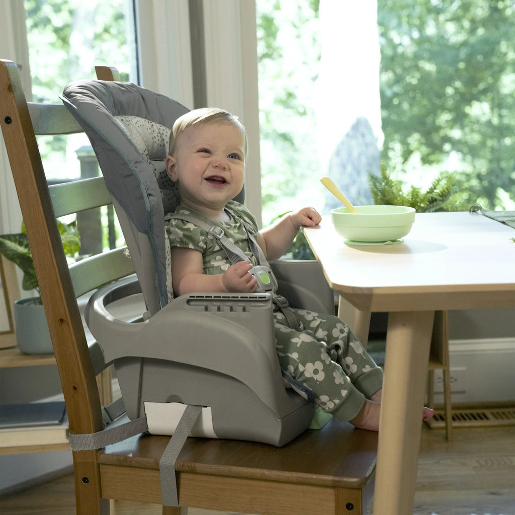 6-in-1 High Chair P48163