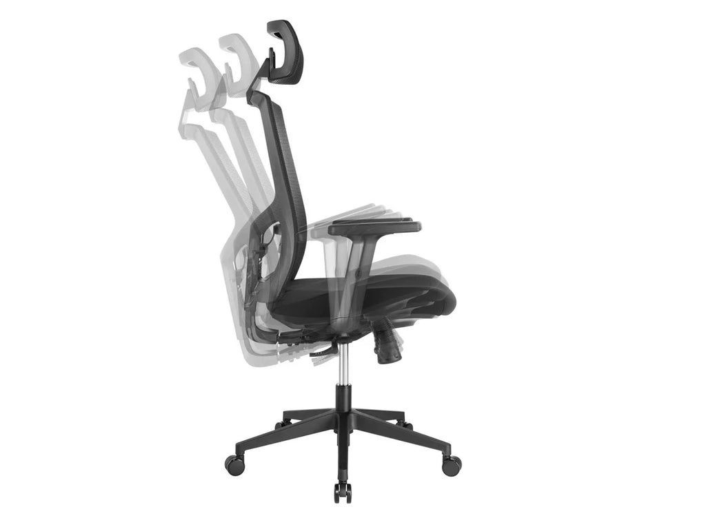 Ergonomic Office Chair with Foam Seat, Adjustable Headrest, Lumbar Support, Armrests R39164