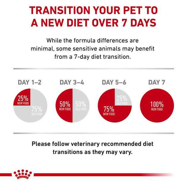 Small Dog Food H911