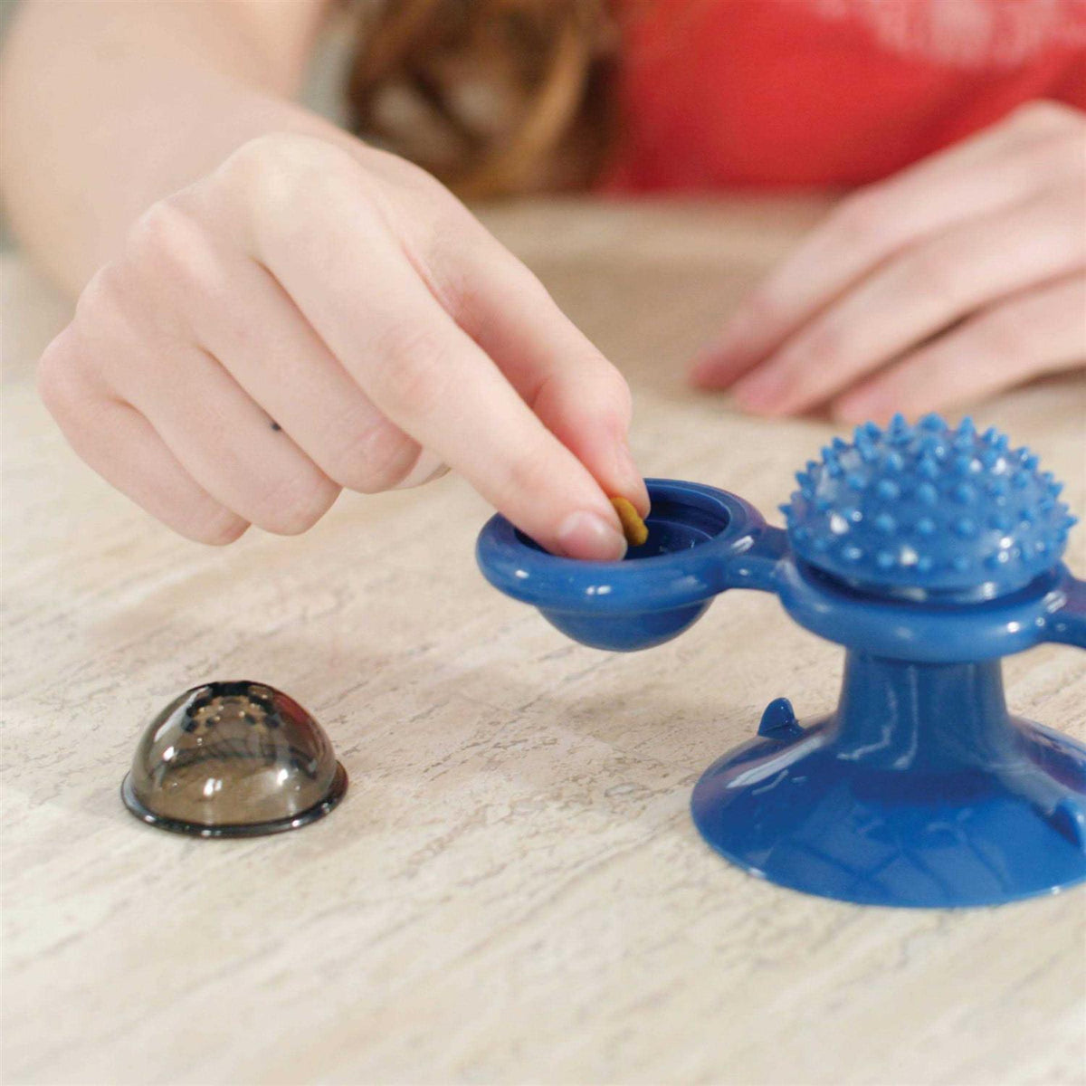 Spinner Toy & Grooming Brush U380743
