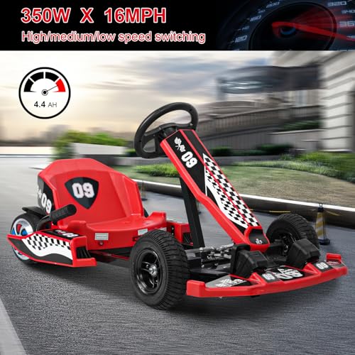 Electric Drift Go Kart with 350W Motor D8964
