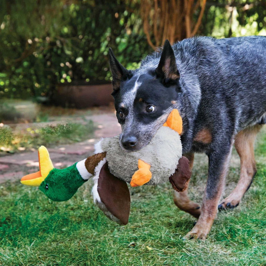 Duck Toy K333