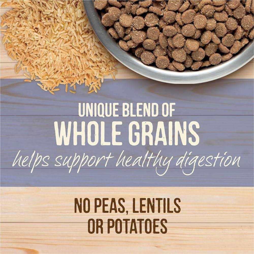 Healthy Grains Freeze Dried Raw Coated Dry Dog Food Puppy Recipe P3088