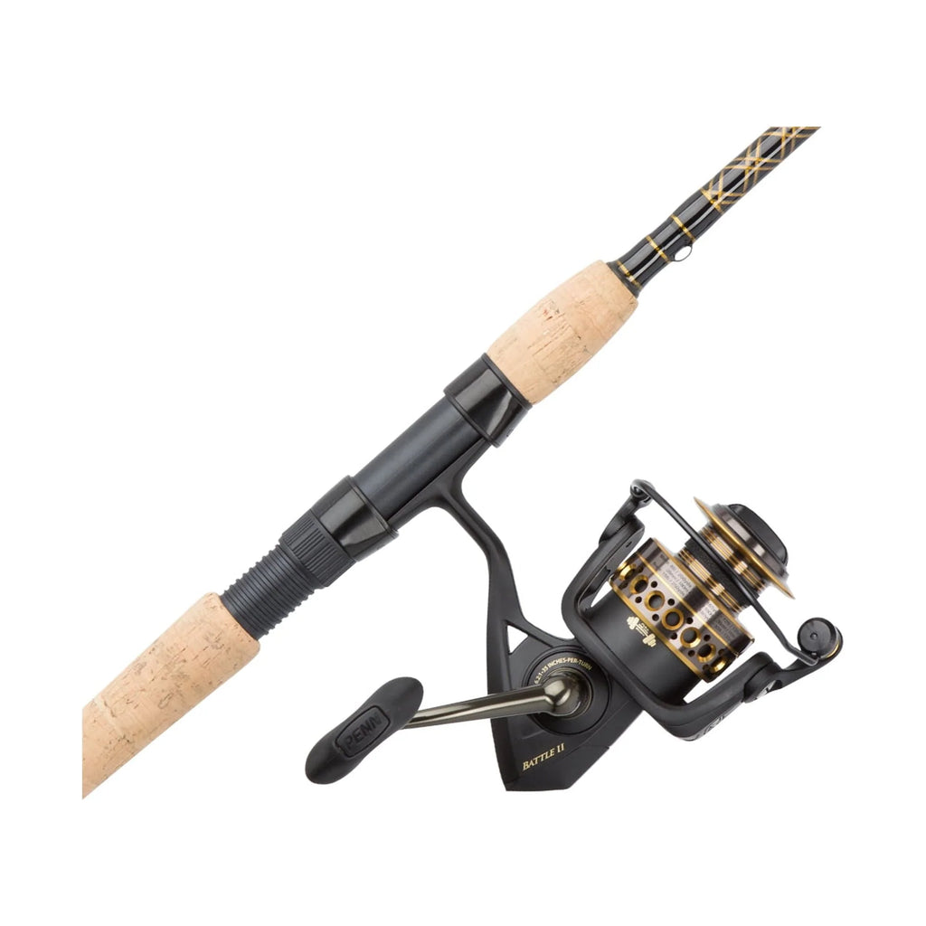 Spinning Fishing Combo D3464