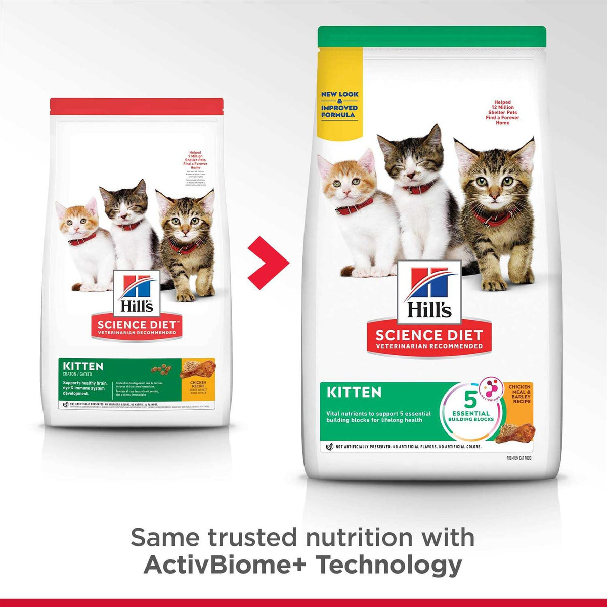 Indoor Kitten Dry Food P796