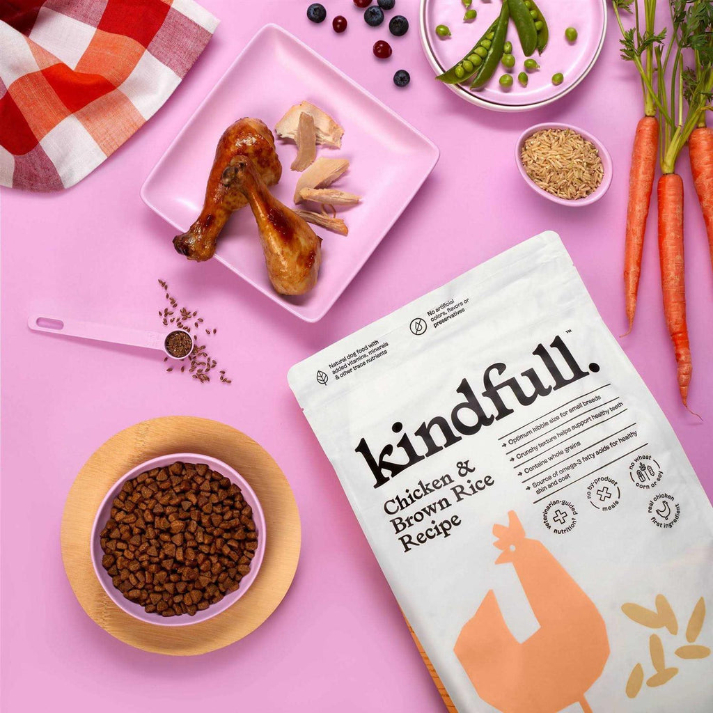 Chicken and Brown Rice Recipe Dry Dog Food I894