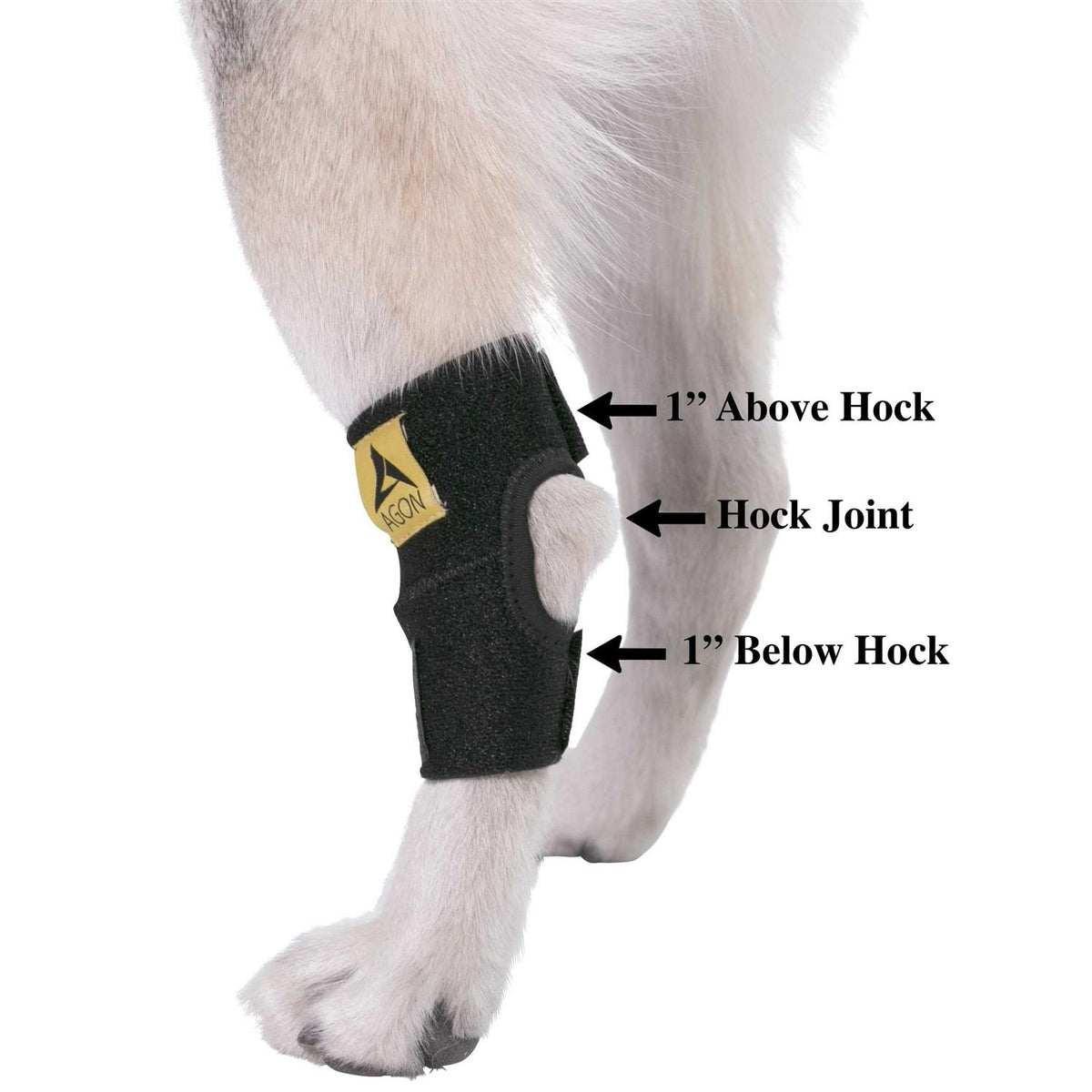 Dog Rear Hock Joint Brace Compression Wrap With Straps B2817