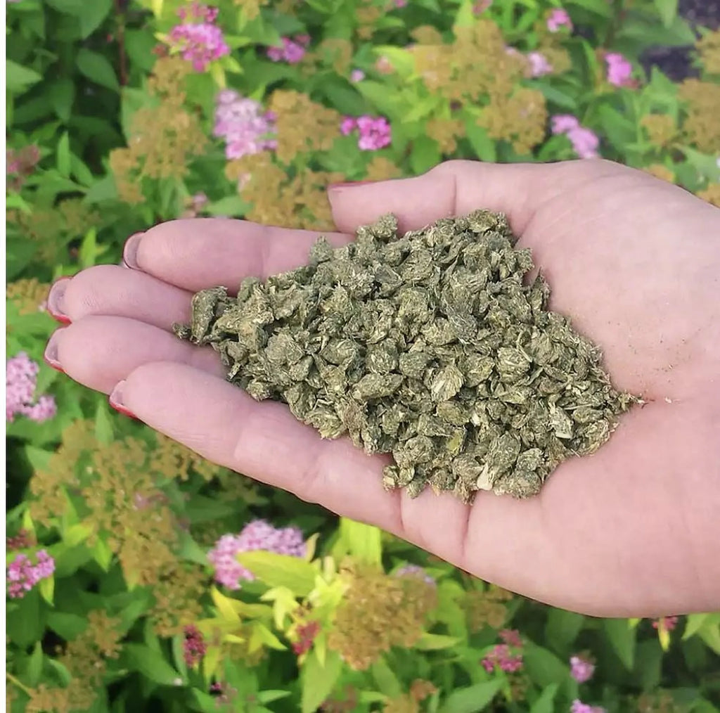 Organic All Purpose Plant Food 3 lb F180