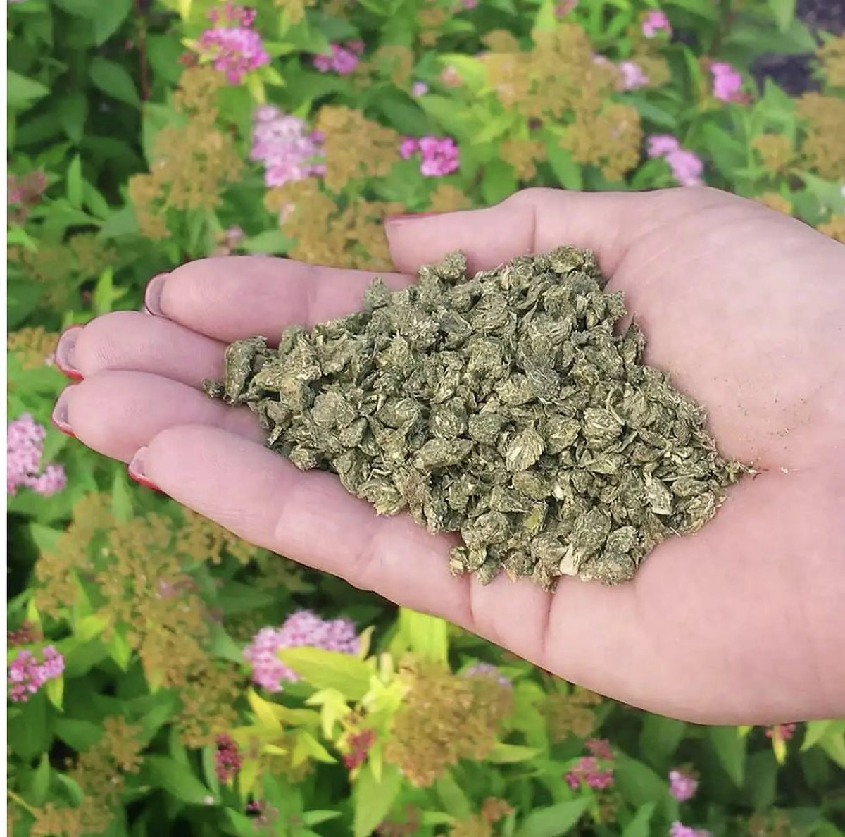Organic All Purpose Plant Food 3 lb F180