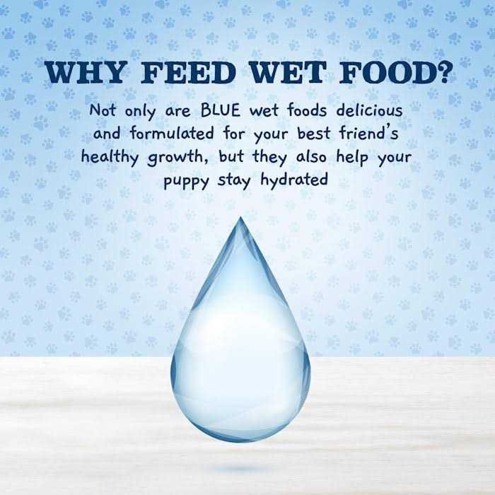 Natural Puppy Wet Dog Food L2179