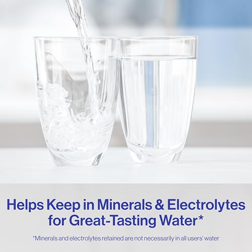Water Filter Replacements for Pitchers and Dispensers, 2 Count P763