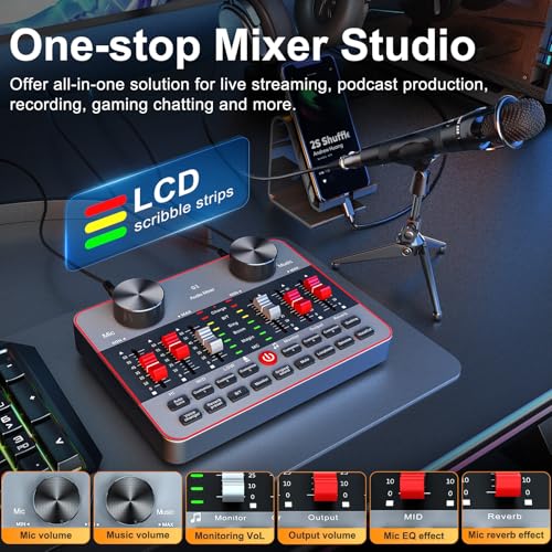 Audio Mixer Sound Card Condenser Microphone D56053