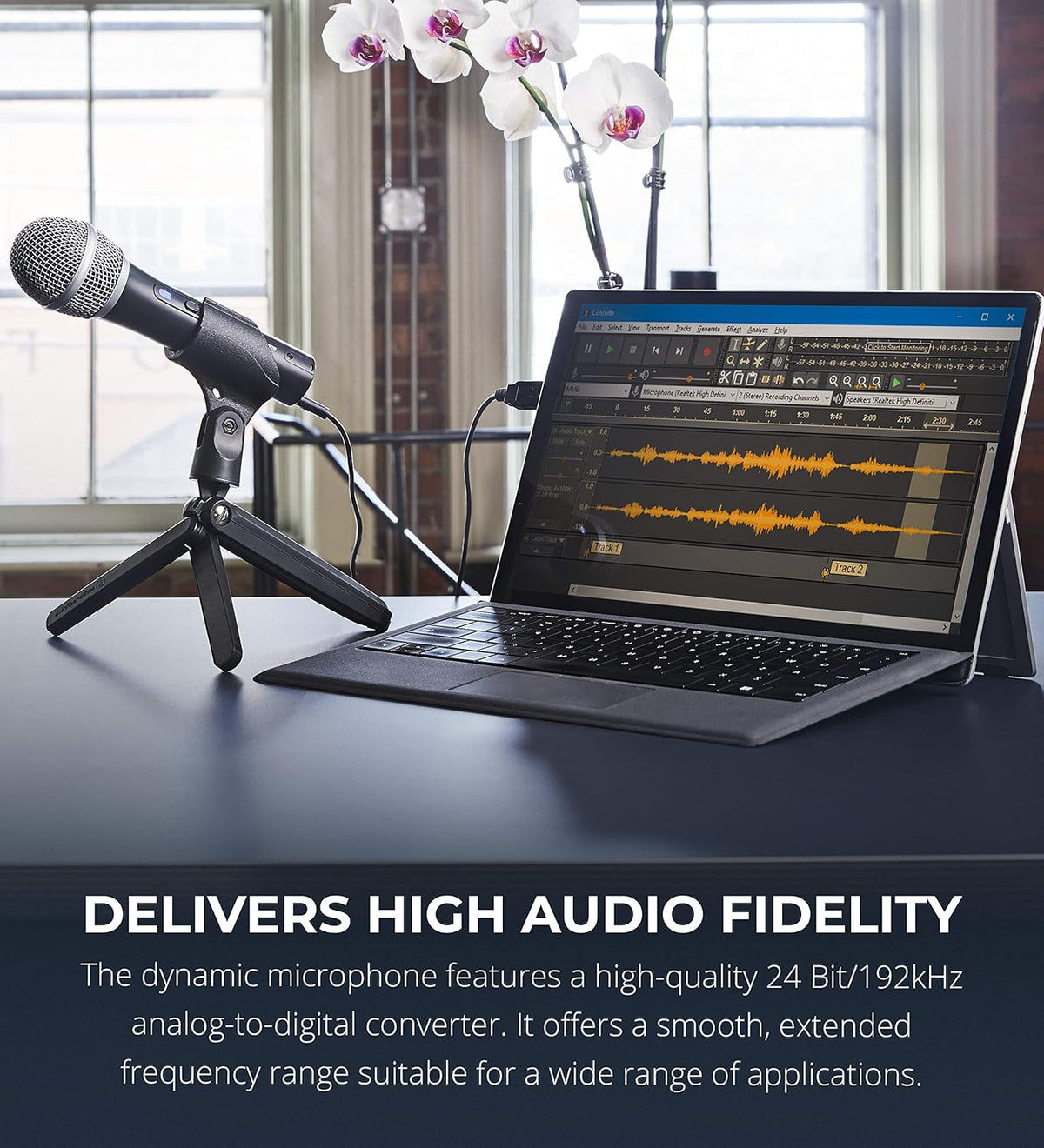 Cardioid Dynamic Microphones 2-Pack P2660