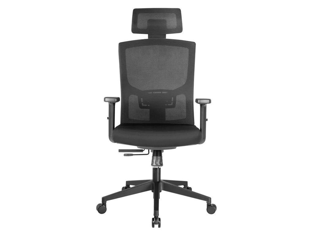 Ergonomic Office Chair with Foam Seat, Adjustable Headrest, Lumbar Support, Armrests R39164