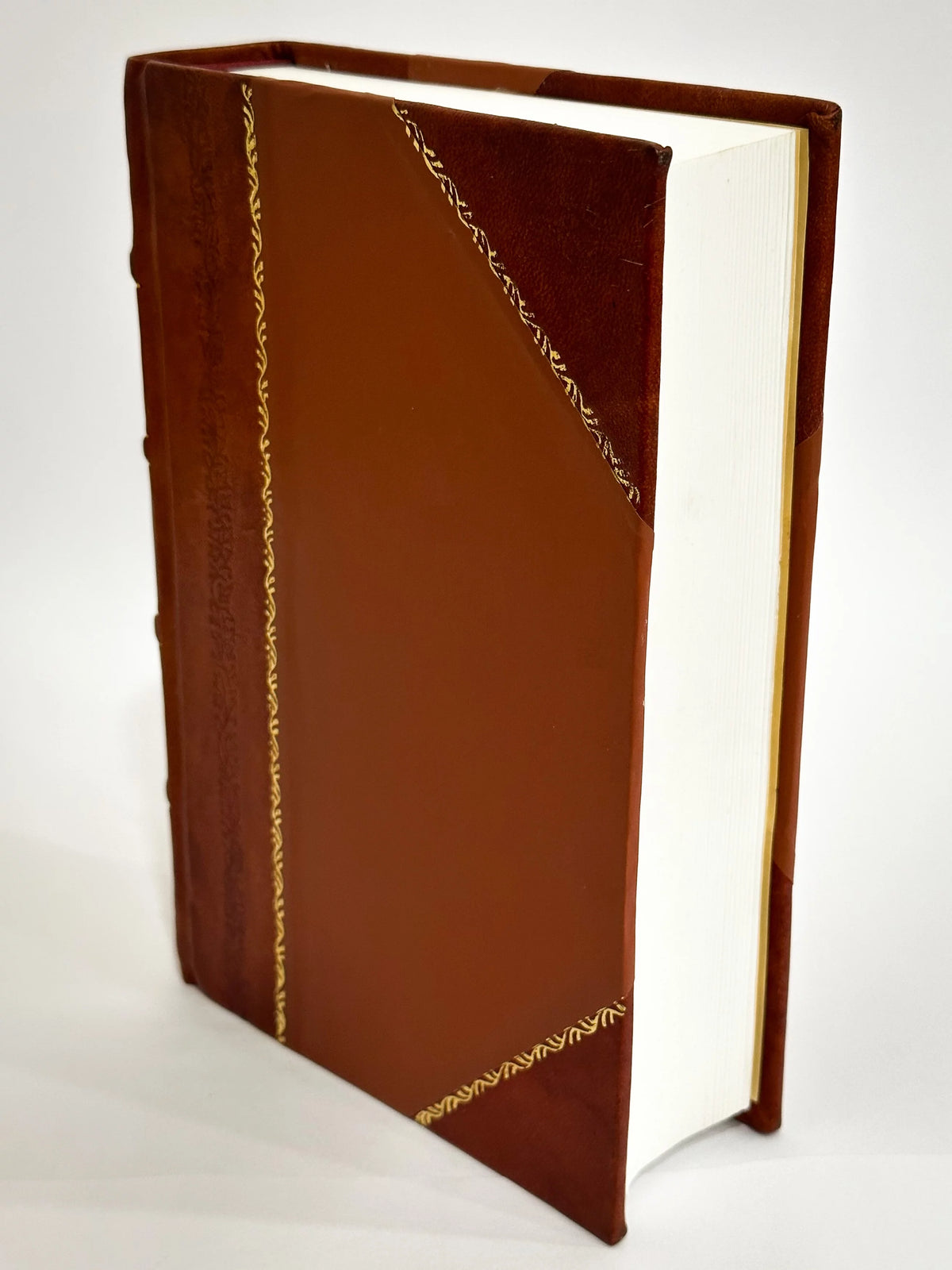 History of Summers County Leather Bound U117844