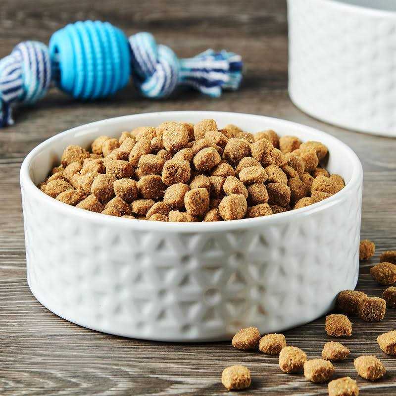 Dry Dog Food K239