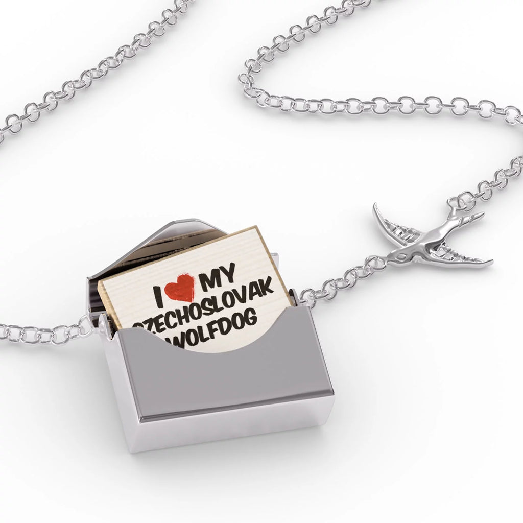 Silver Locket Necklace A835742