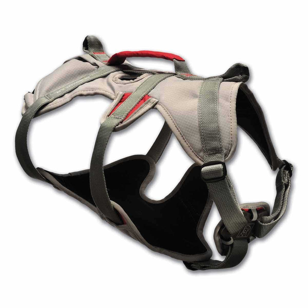 Doubleback Harness M380485