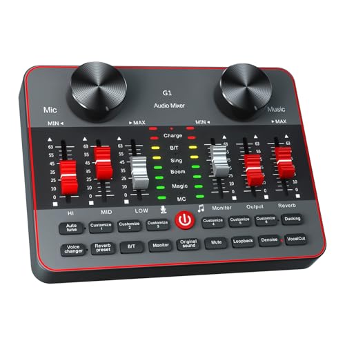 Audio Mixer Sound Card Condenser Microphone D56053