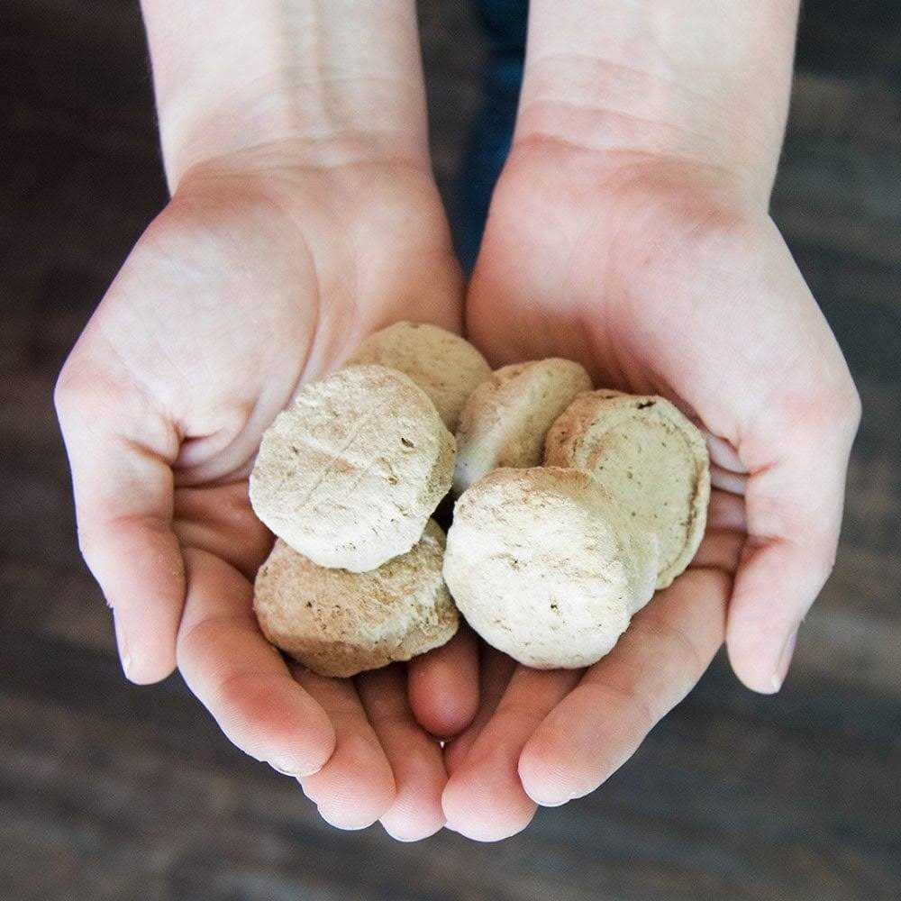 Freeze-Dried Raw Dog Food Salmon Patties R275565
