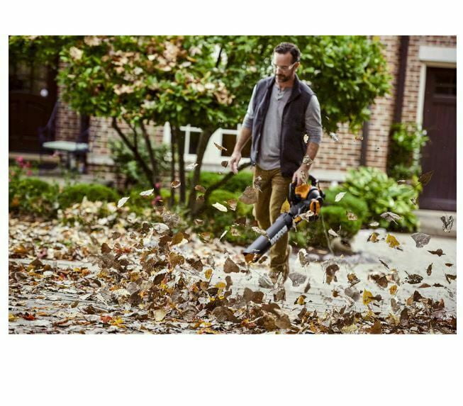 Corded Electric Leaf Blower Mulcher Yard Vacuum D289